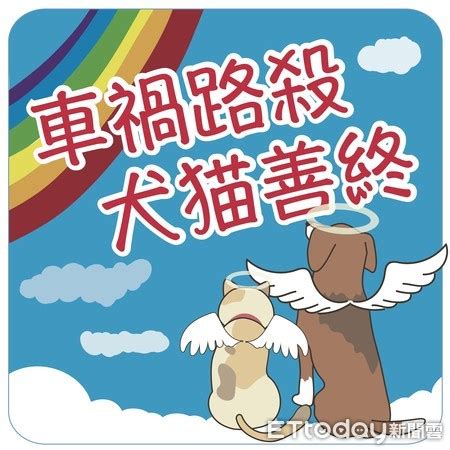 路邊狗狗死掉|力推路殺犬貓善終 台南動保處讓毛孩走完最後一程